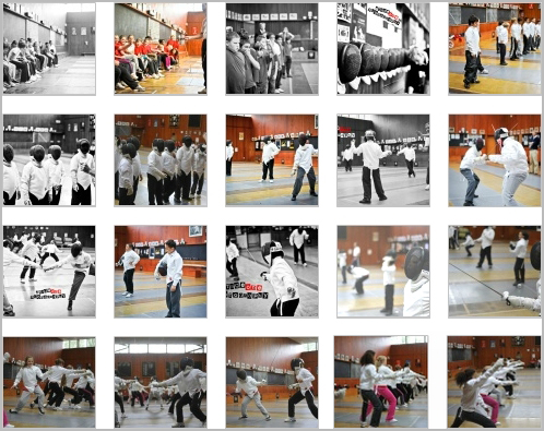Fencing 2011 Photos