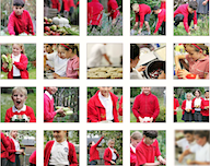 Allotment and Cooking 2019 Photos link